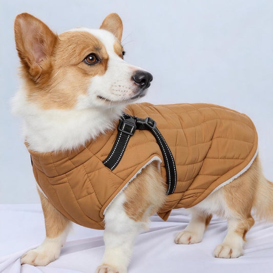 Ozzie - Quilted Outdoor Dog Winter Coat
