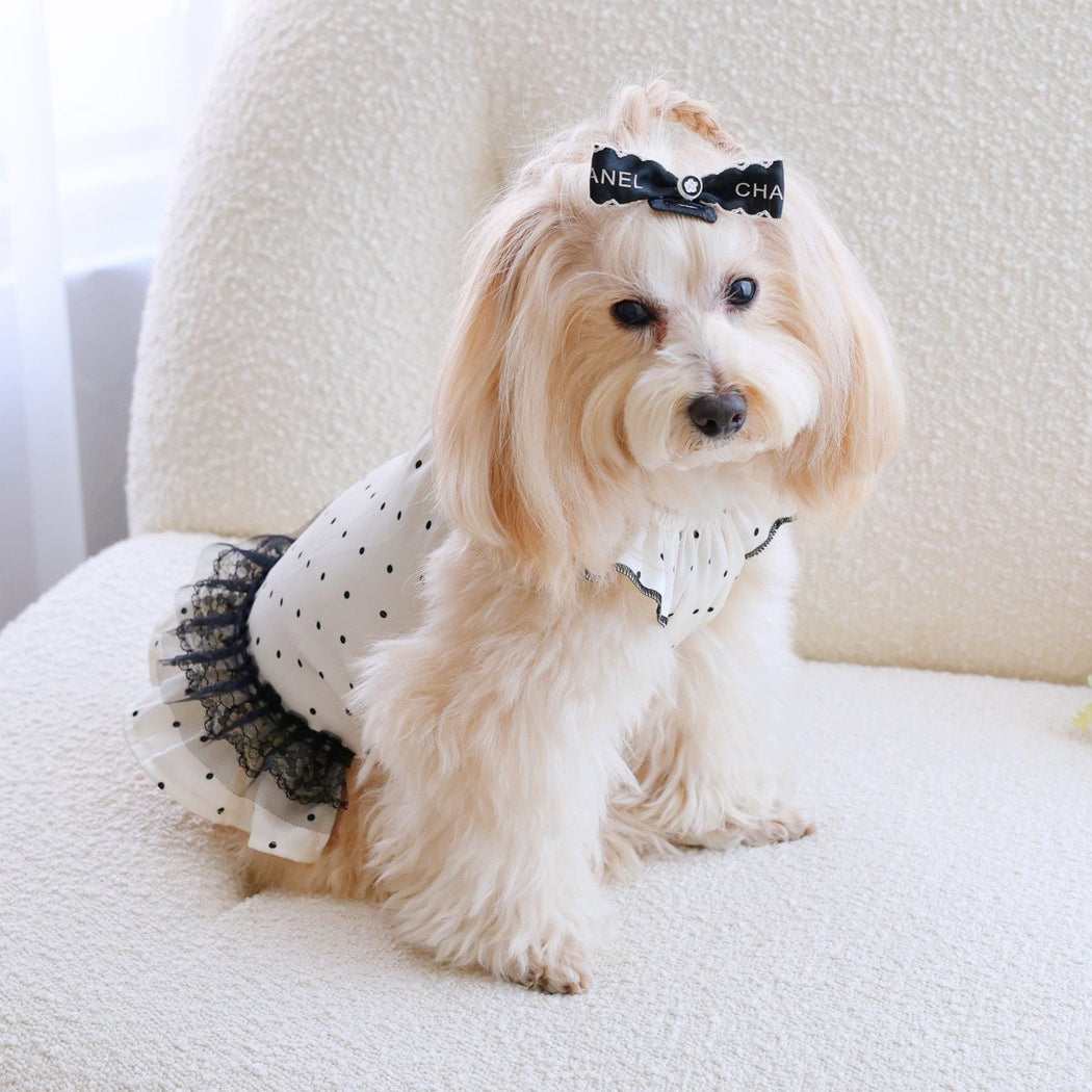 Ozzie - Sleeveless Dog and Cat Pet Dress