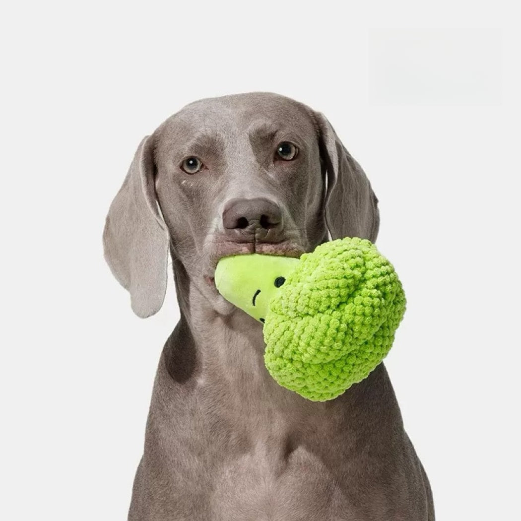 Petkin - Vegetable Character Plush Play Dog Toy