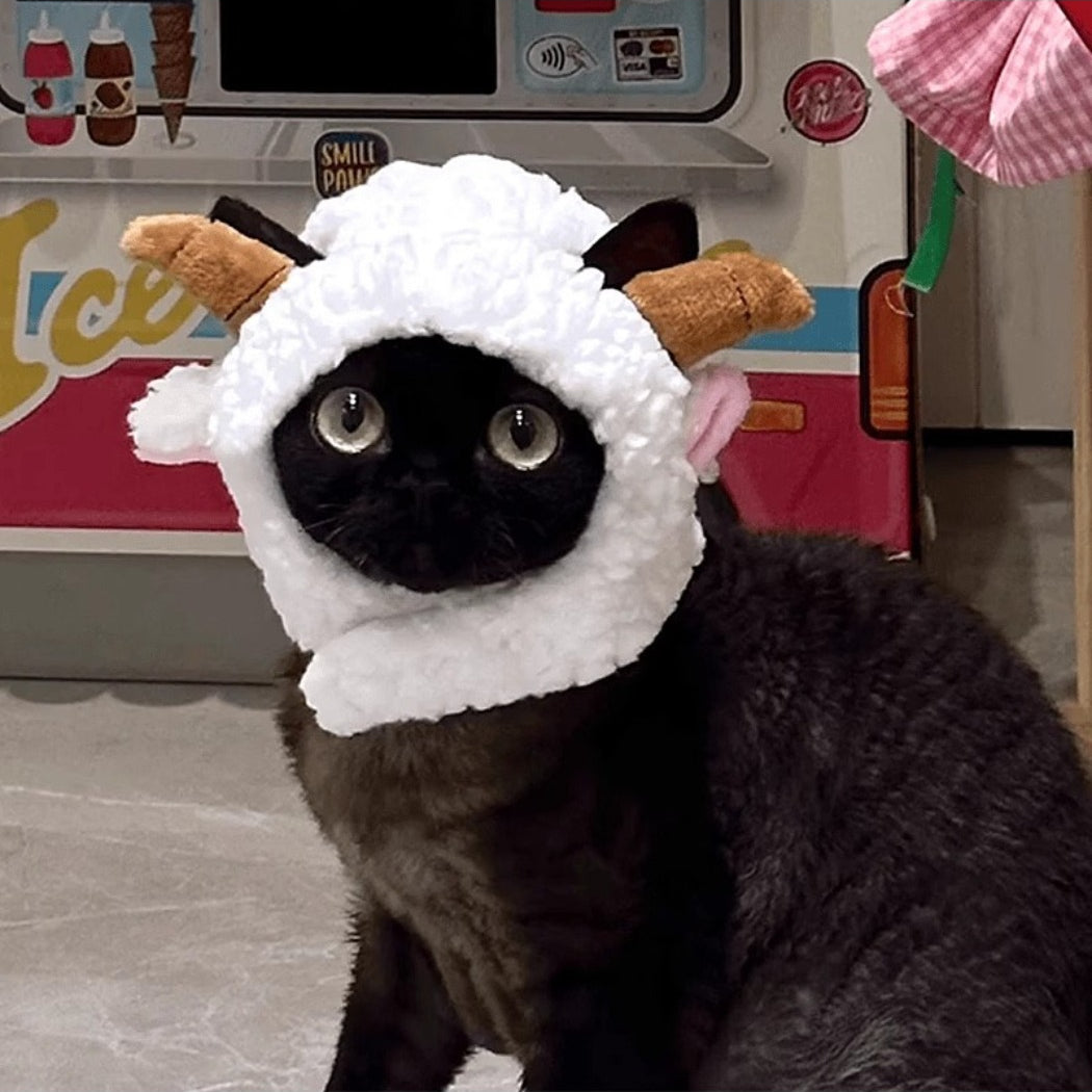 Ozzie goat costume cat hat with visible goat face features on the hat