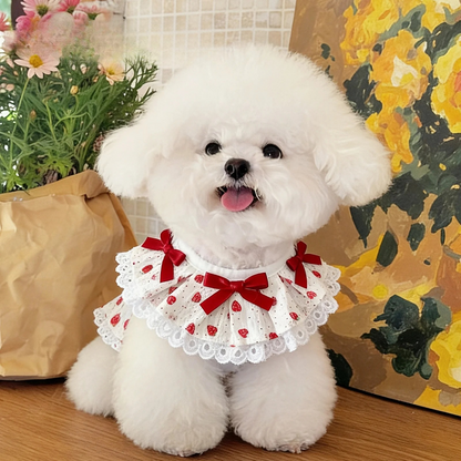 Mokka - Bow Lace Bib Pet Neckwear