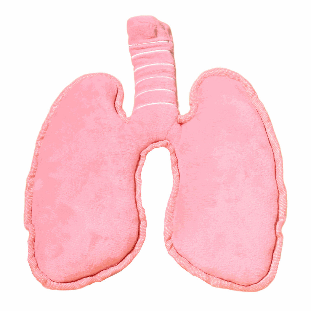 Petkin Pink Lung Plush Dog Toy