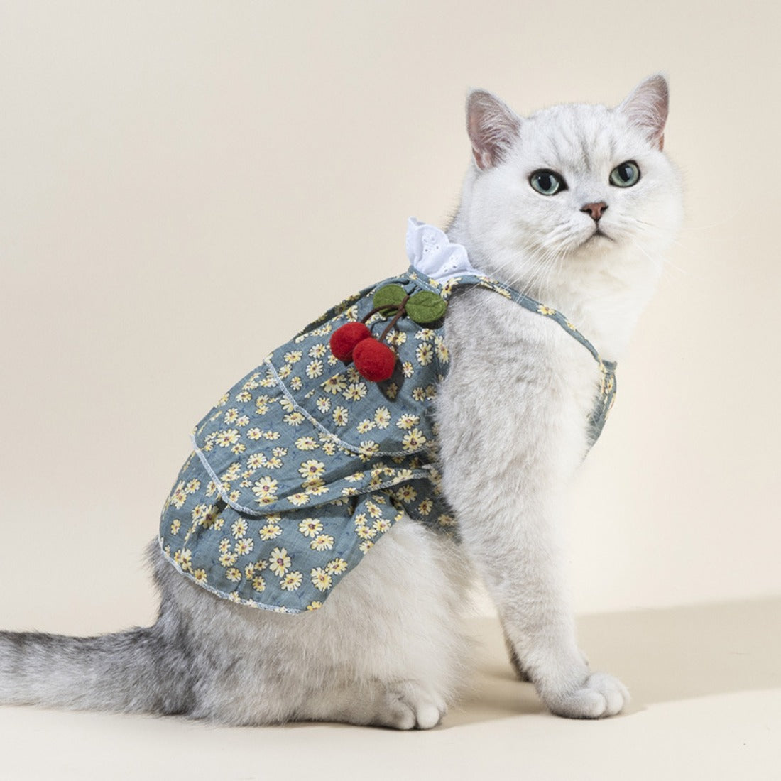 Ozzie - Small Floral Pattern Clothes for Cats