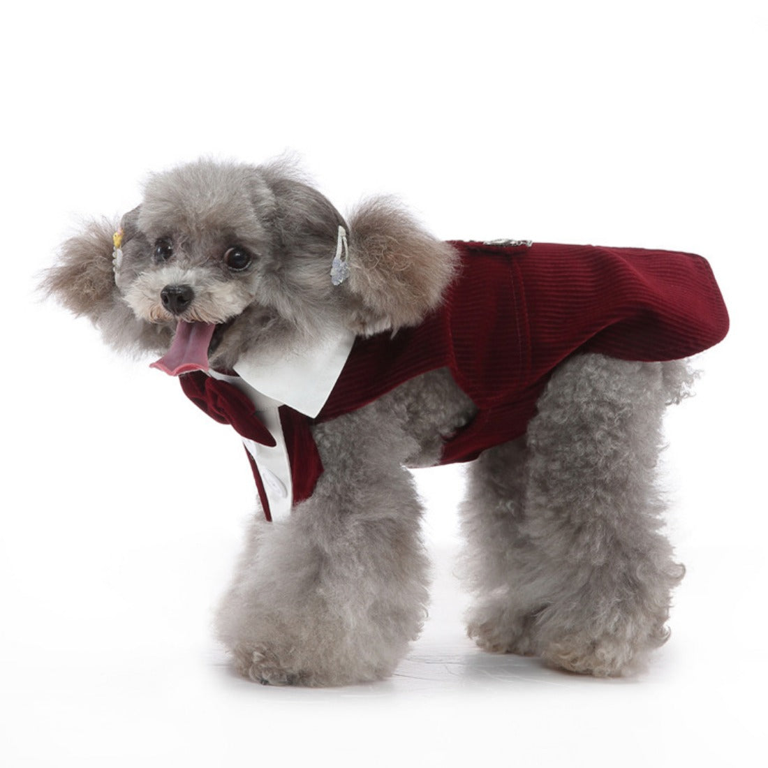 Ozzie - Sleeveless Pet Suit – British Style