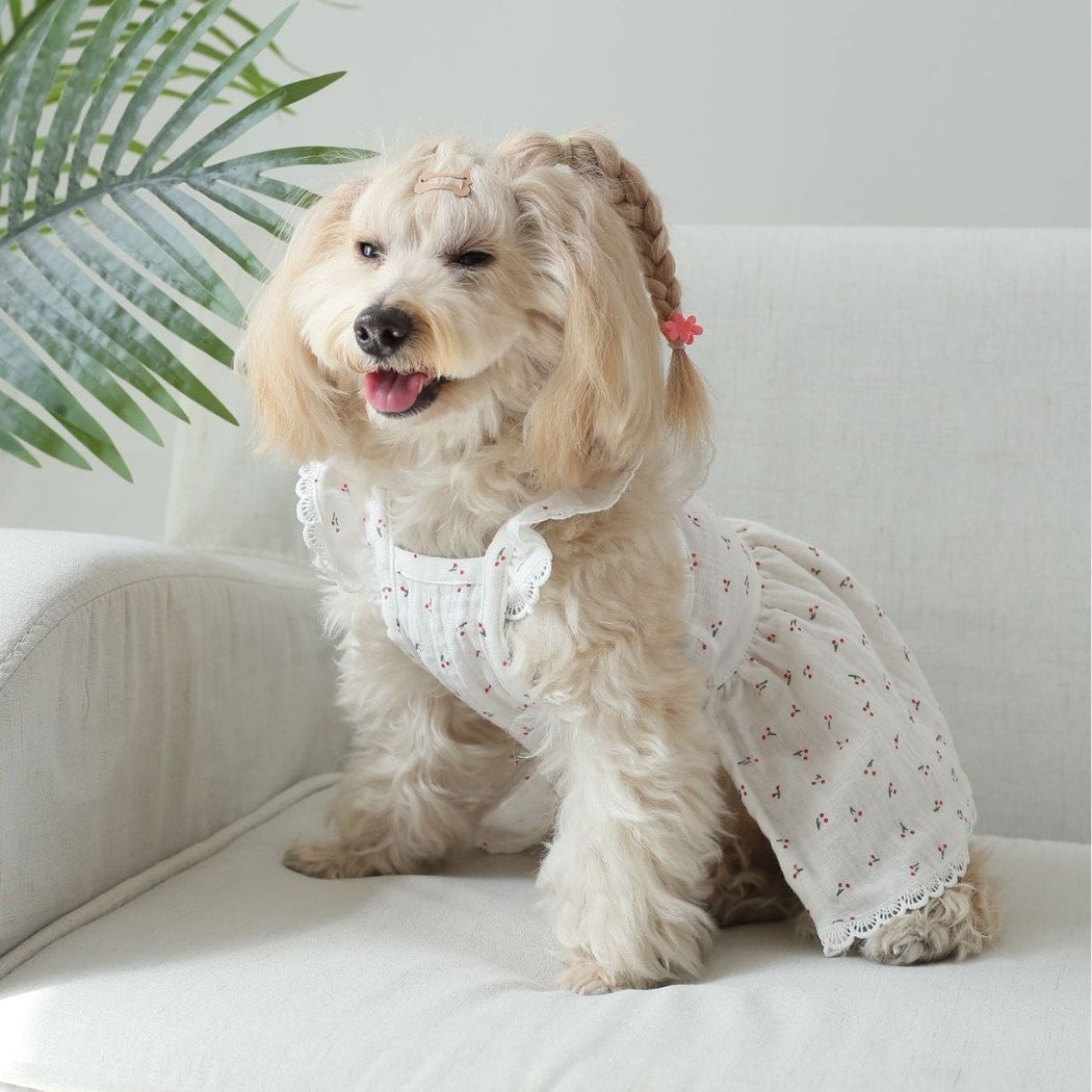 Ozzie - Cherry Print Short Sleeve Pet Dress