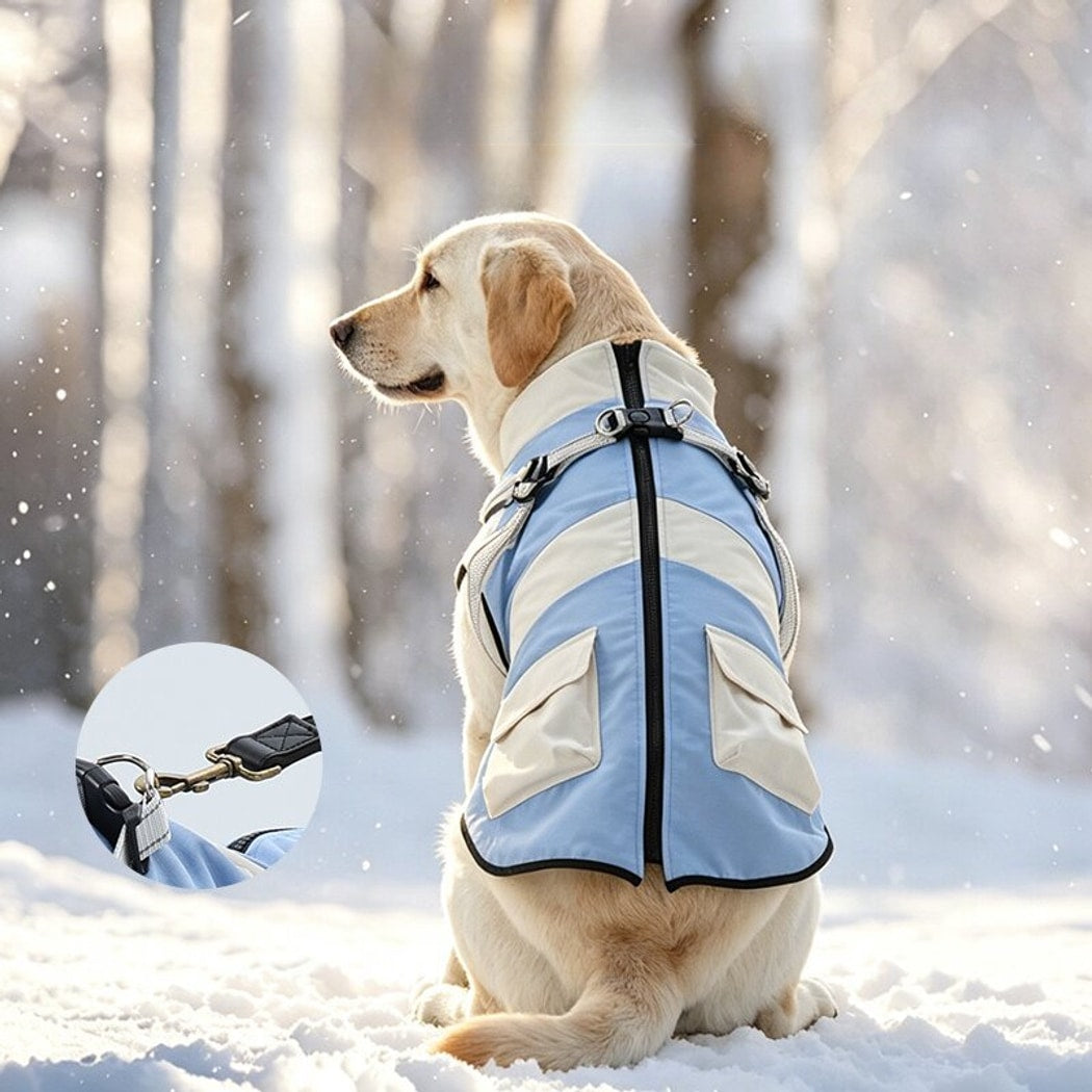 Ozzie - Walking Panel Dog Traction Vest