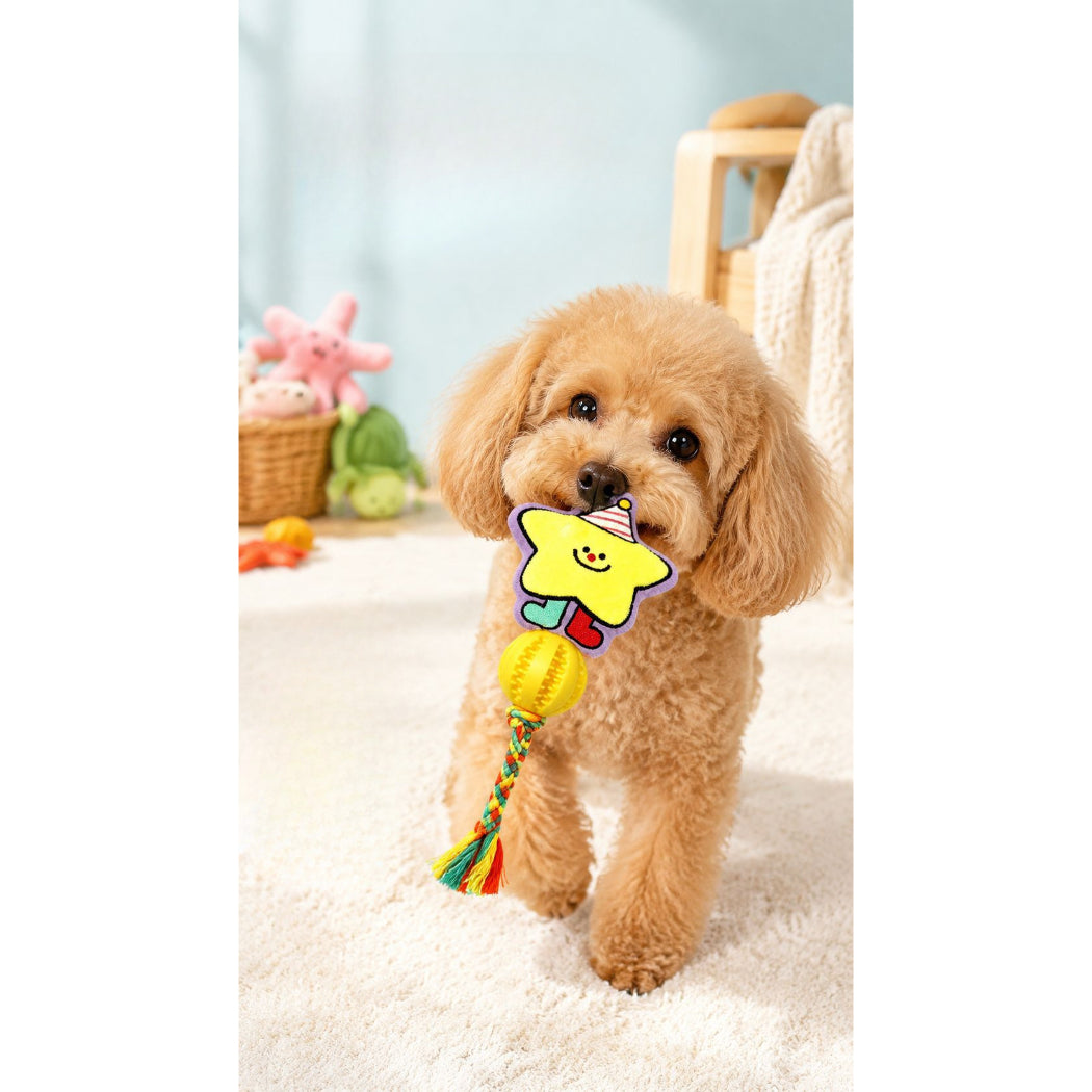 Petkin - Cartoon Shaped Dog Plush Toy