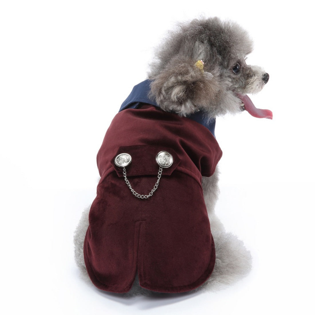 Ozzie - Sleeveless Pet Suit – British Style