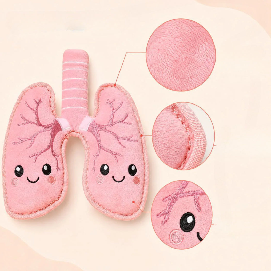 Petkin Pink Lung Plush Dog Toy