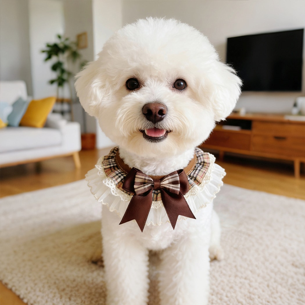 Mokka - Plaid Lace Trim Bow Pet Collar