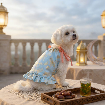 Ozzie - Small Dog Print Spring Summer Dress