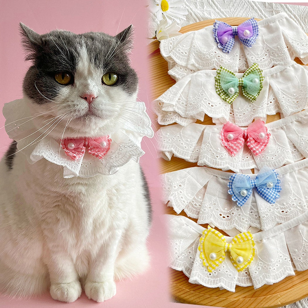 Mokka - Bow Lace Trim Cat Collar
