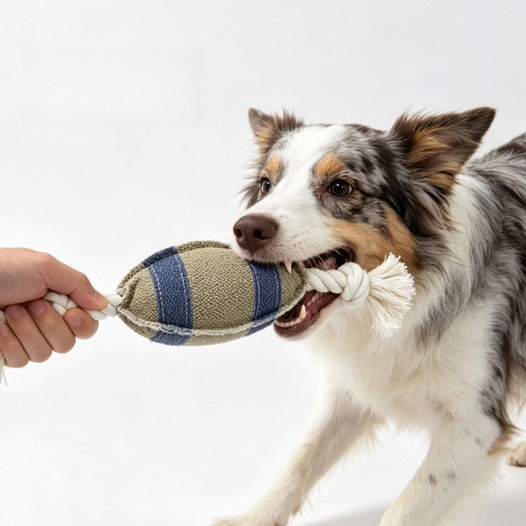 Petkin - Football Style Rope Knot Dog Toy