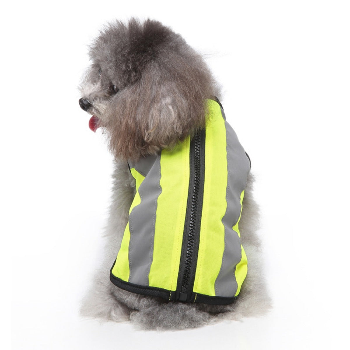 Ozzie - Reflective Safety Vest for Pets