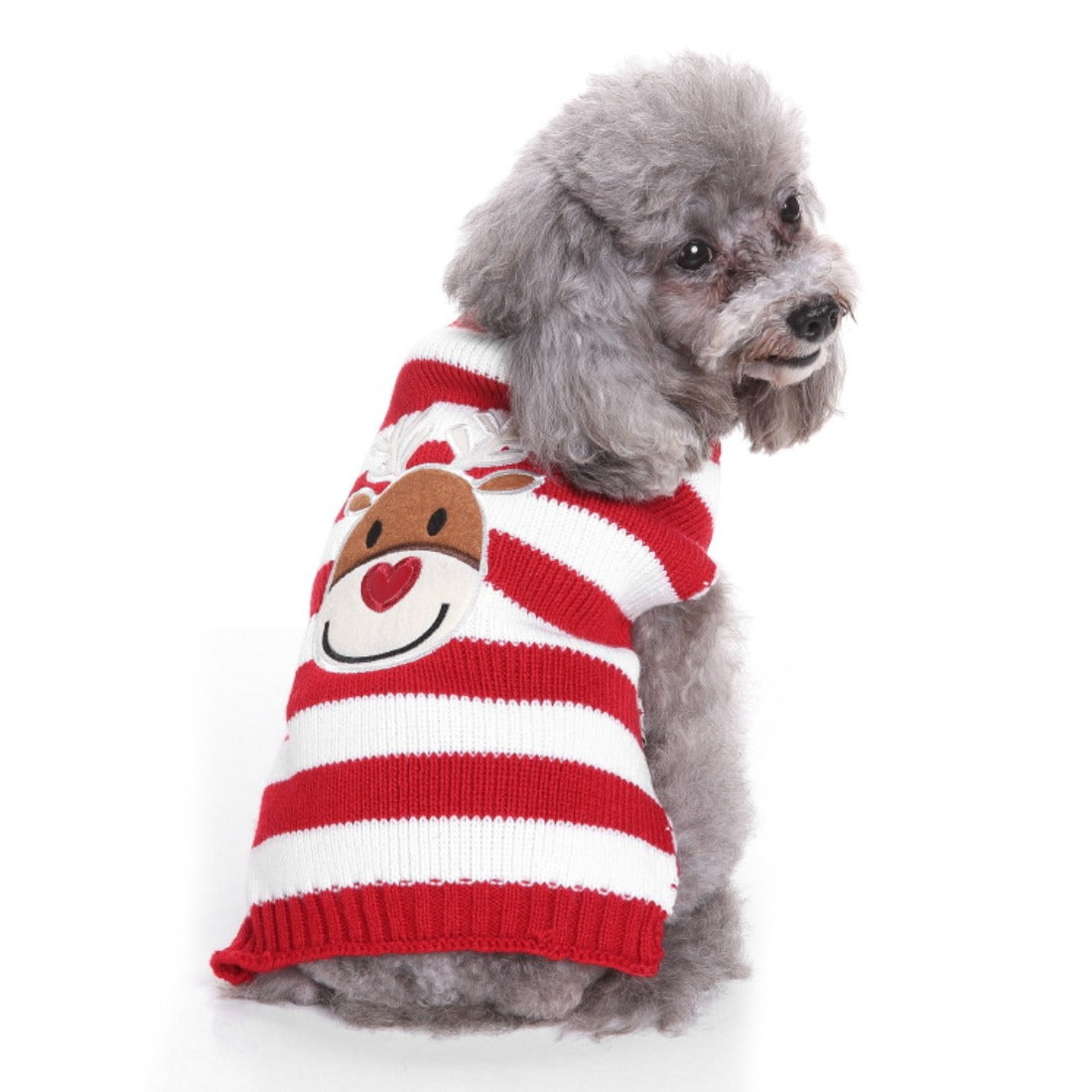 Chrismoo -  Red Christmas Reindeer Dog Sweater for small & medium dogs