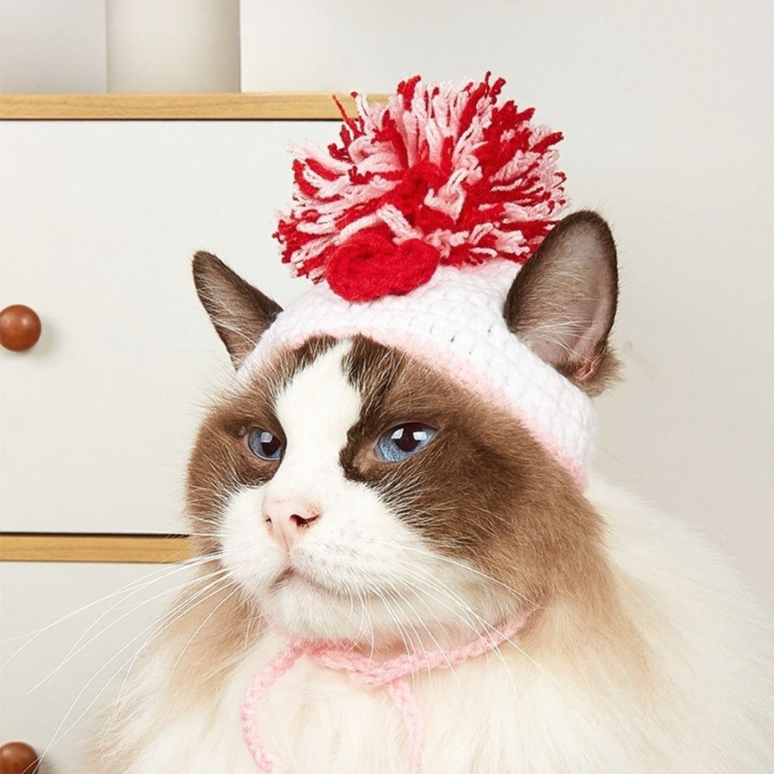 Close-up of Ozzie Pom Pom Knit Cat Hat showing knit texture and pom pom detail