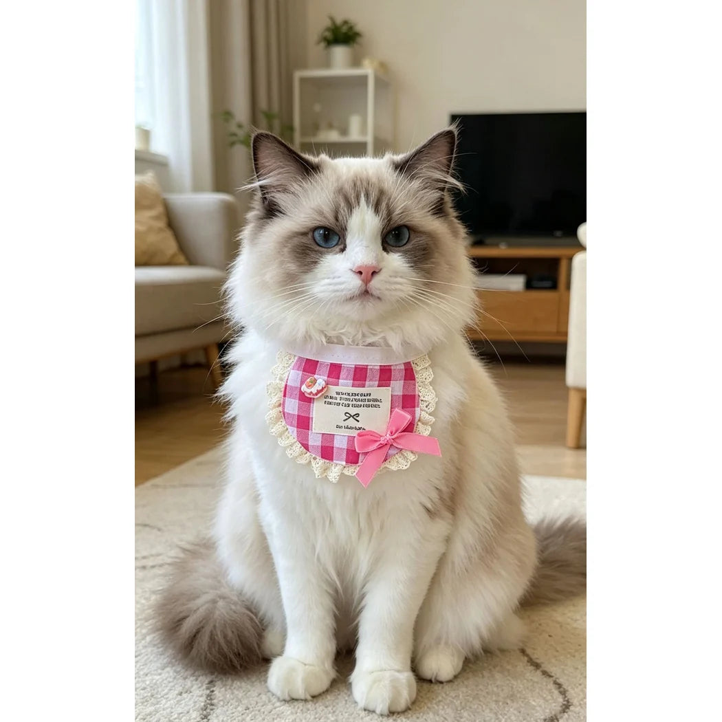 Mokka - Bow Lace-Look Pet Bib