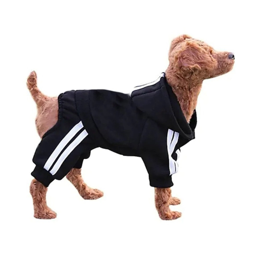 Ozzie hooded dog jumpsuit displayed flat showing sport stripes and hood