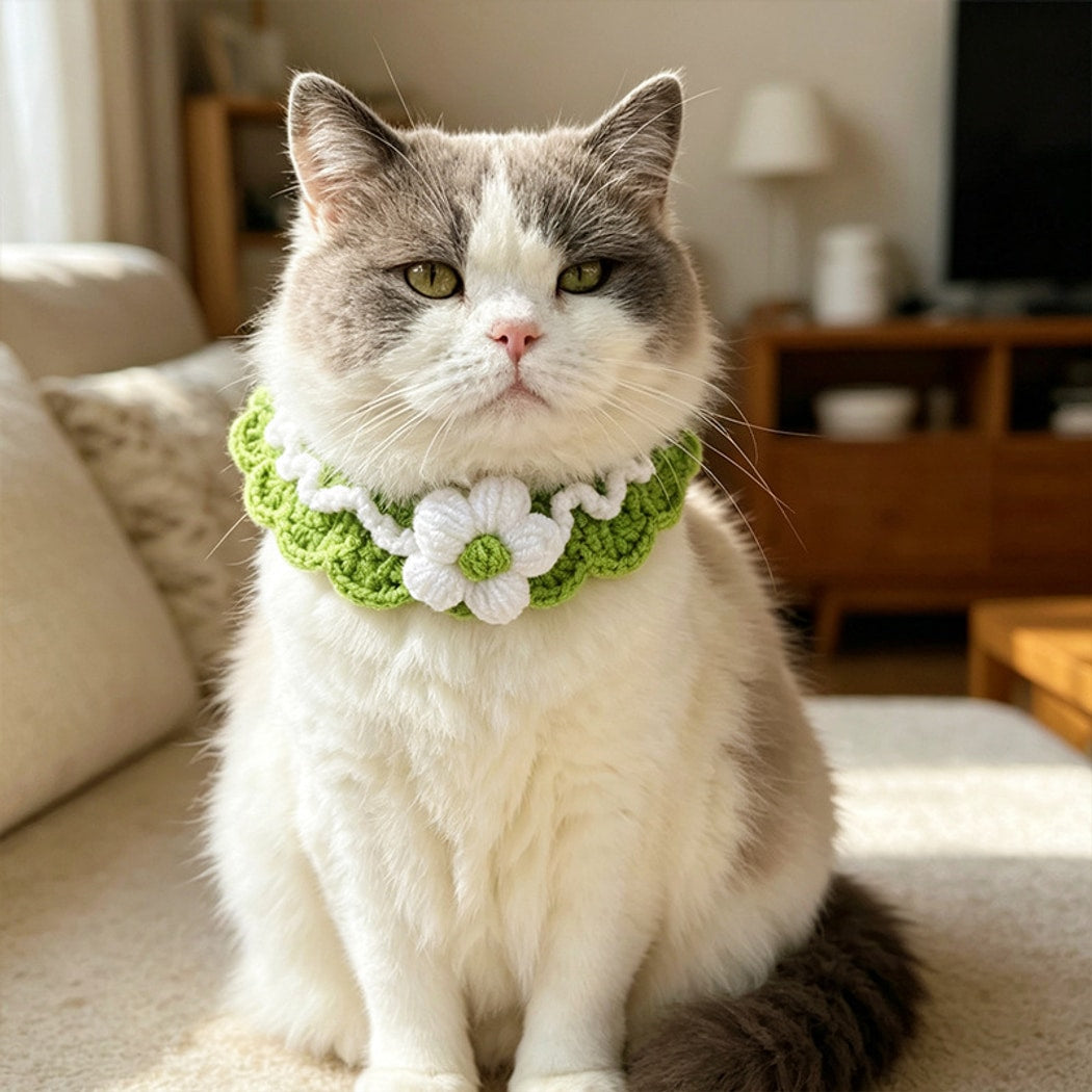 Mokka - Floral Crochet Style Pet Collar