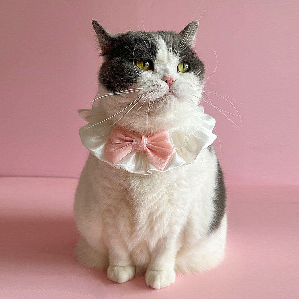 Mokka - Ruffled Bow Princess Style Cat Collar