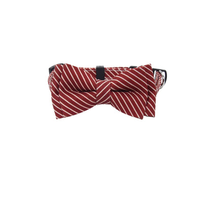 Mokka Stripe Bow Breakaway Collar fastened with breakaway clasp visible