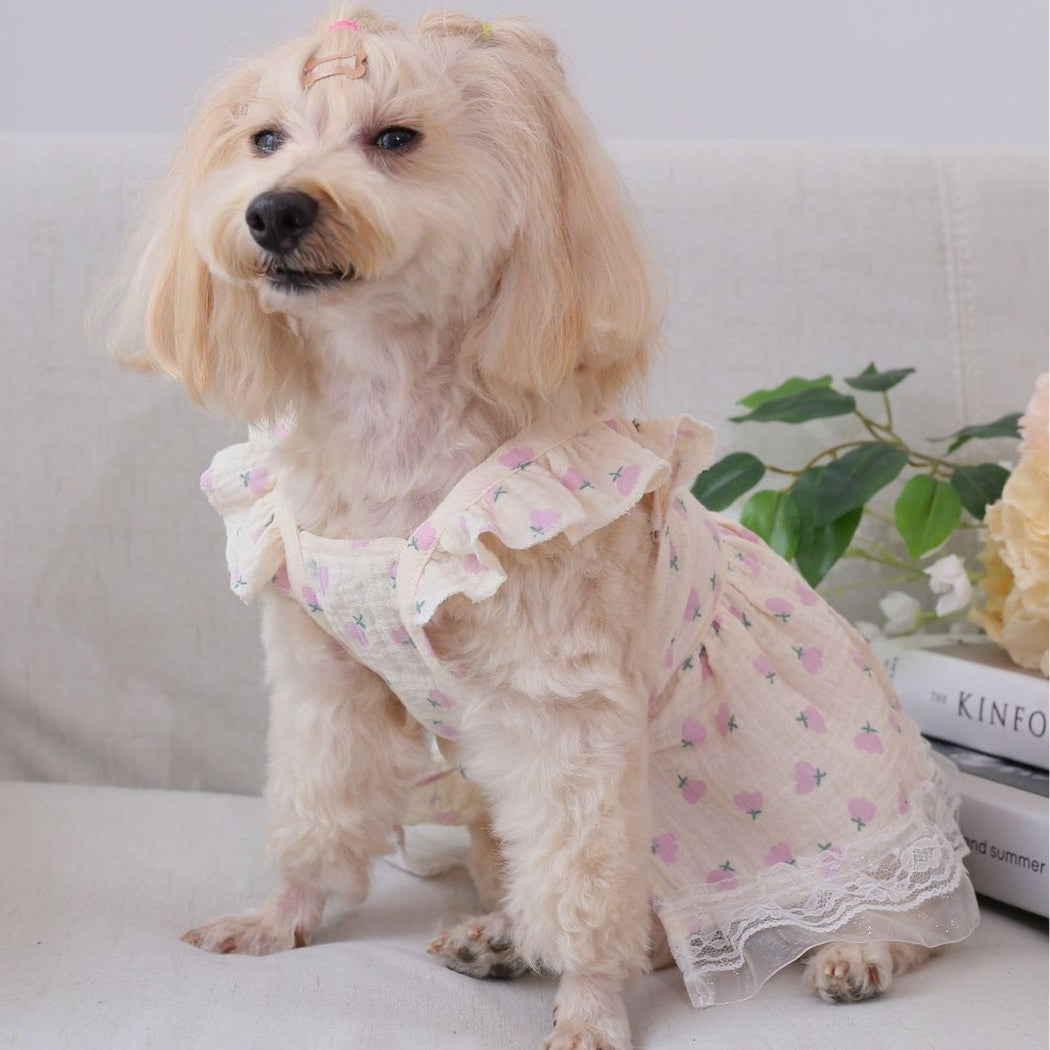 Ozzie - Doll Style Floral Print Dress for Pets