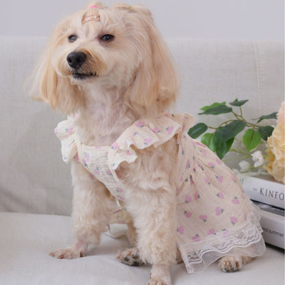 Ozzie - Doll Style Floral Print Dress for Pets