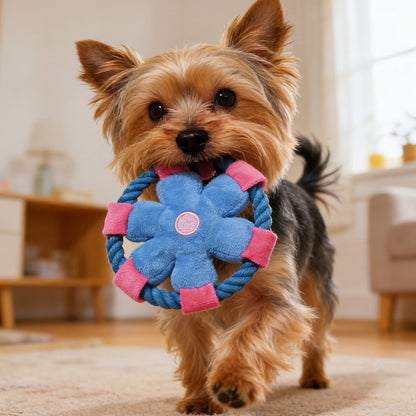 Petkin - Cartoon Flower Plush Frisbee Dog Toy
