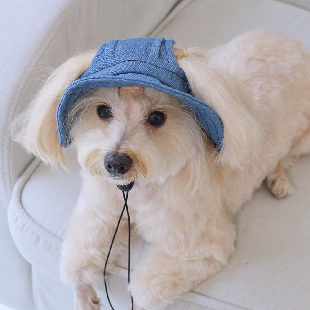 Ozzie - Ear Hole Pet Bucket Hat