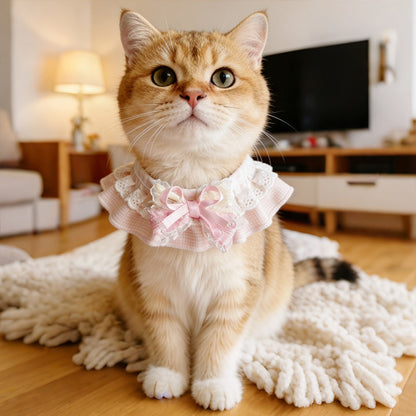 Mokka - Decorative Lace Bow Pet Collar