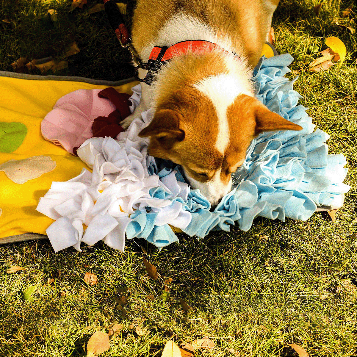 Snuffy - Beach Adventure Snuffle Mat