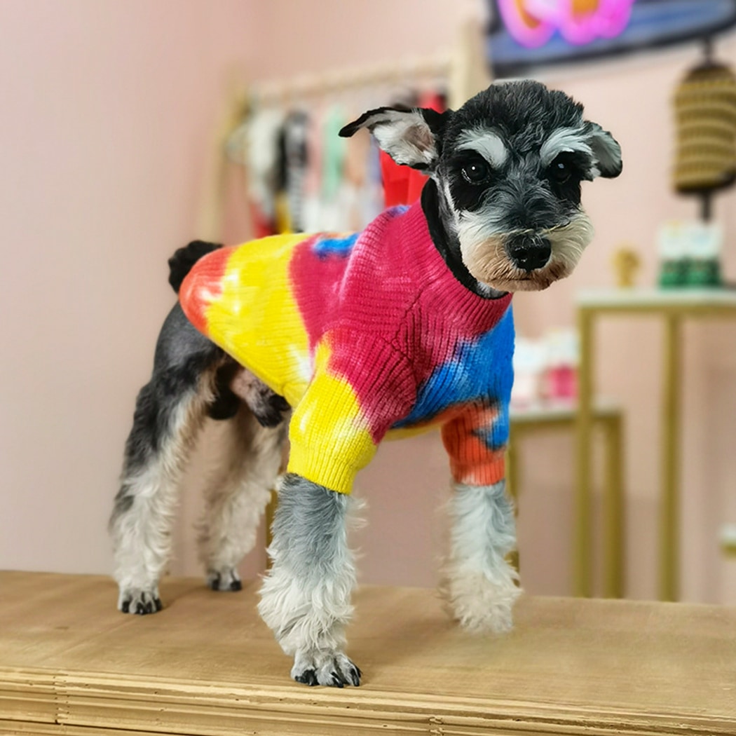 Ozzie - Casual Tie-Dye Dog Sweater