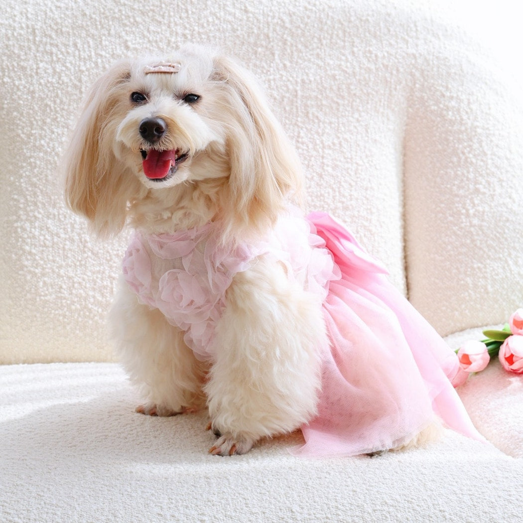 Ozzie - Tulle Skirt Pink Dress Style Pet Dog Dress