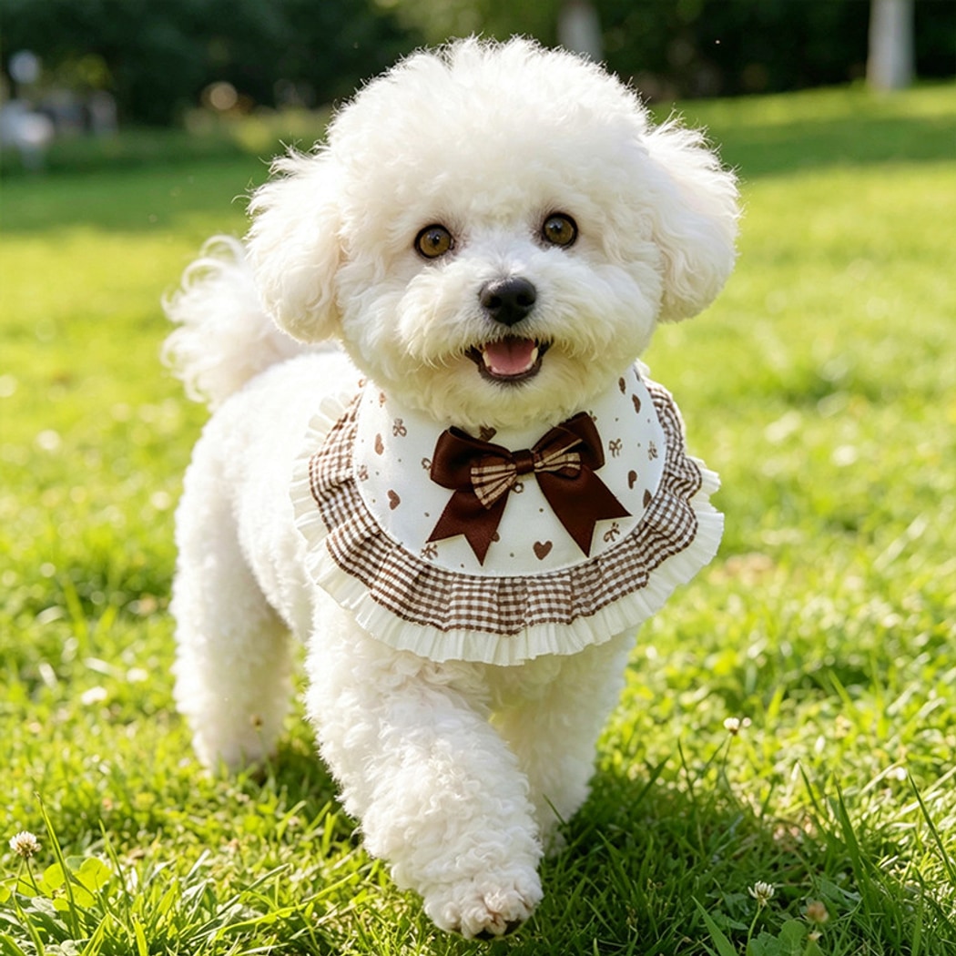 Mokka - Princess Style Bow Detail Pet Bib