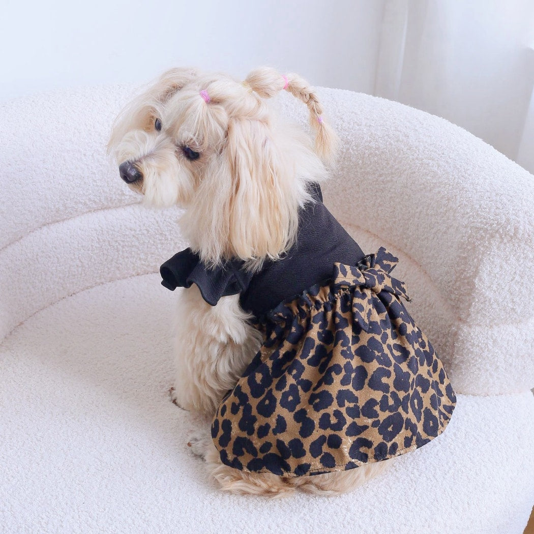 Ozzie - Black Leopard Print Bubble Skirt Pet Dress