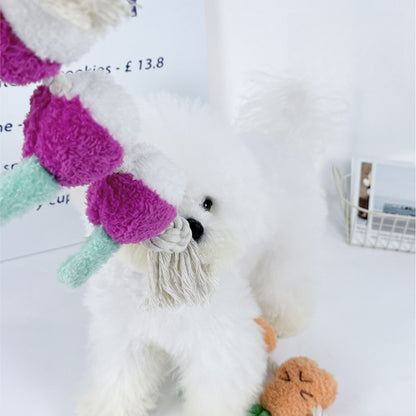Petkin - Vegetable Shape Squeaky Tug Rope Dog Toy