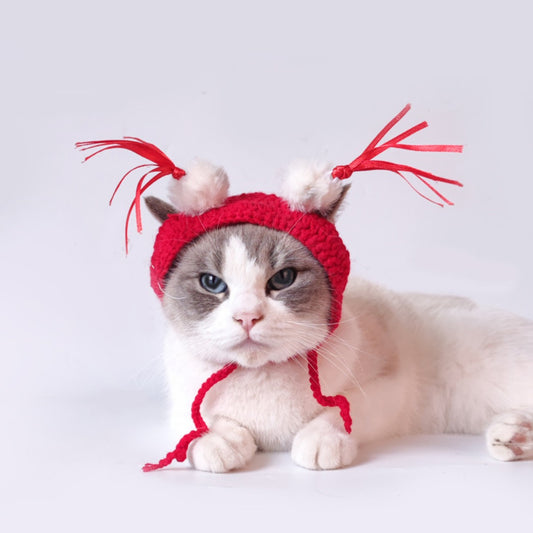 Ozzie - Bunny-Shaped Pet Hat