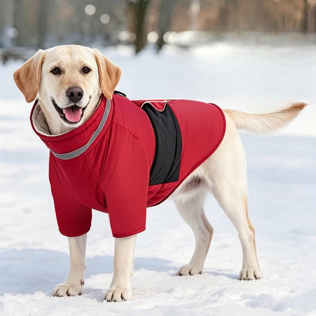 Ozzie - Dog Winter Coat with Leash Opening Jacket