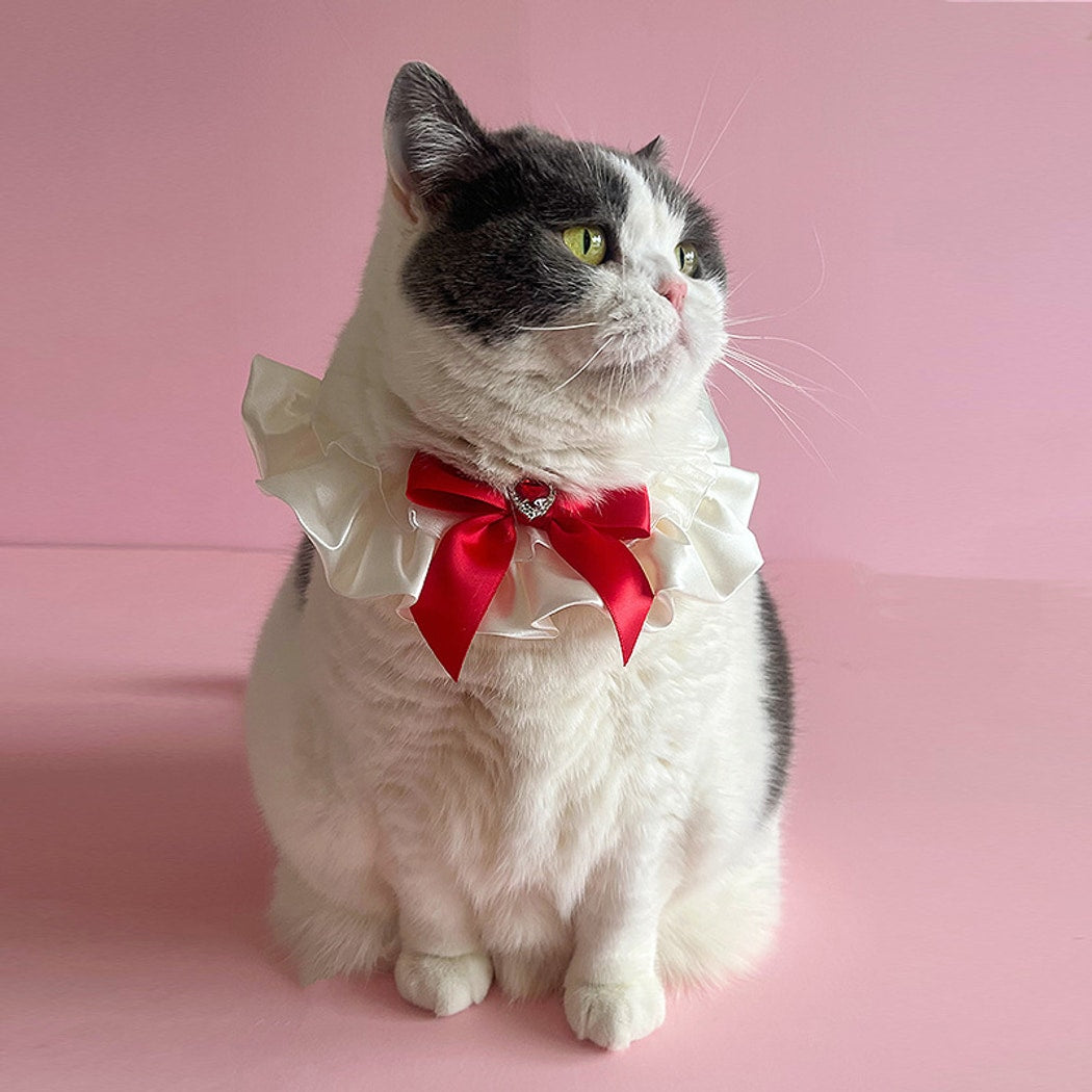 Mokka - Heart Bow Princess Style Cat Collar