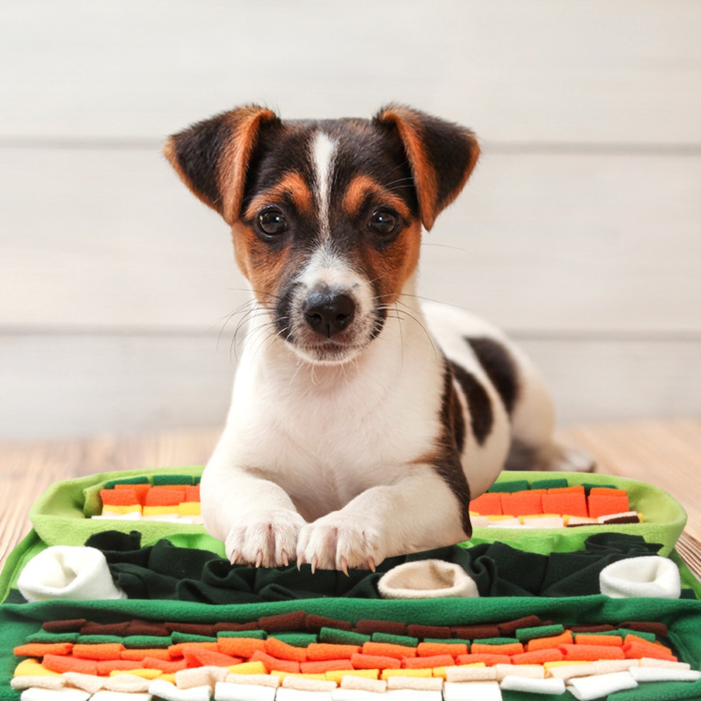 Snuffy - Vibrant Layered Snuffle Mat