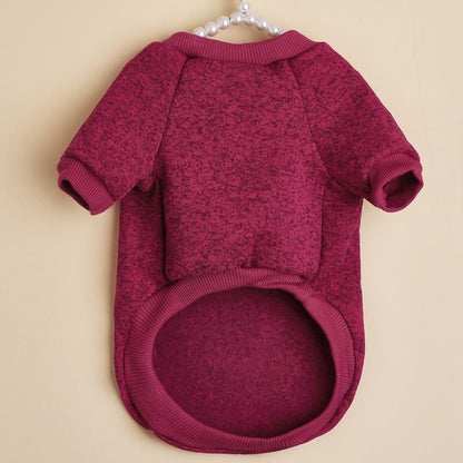 Ozzie - Rainbow Label Round Neck Dog Sweater