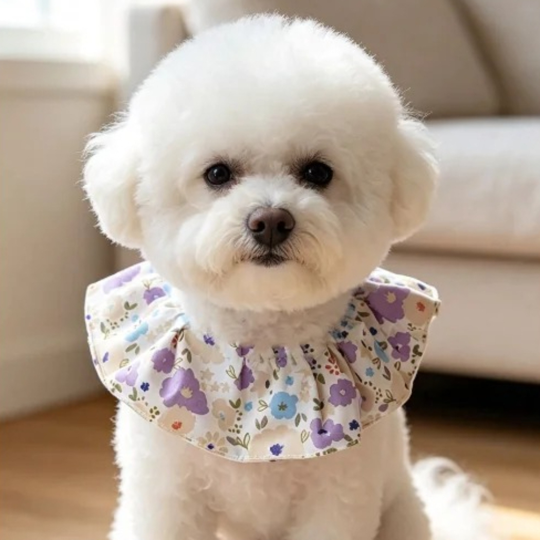 Mokka - Playful Print Ruff Tie Pet Neckwear