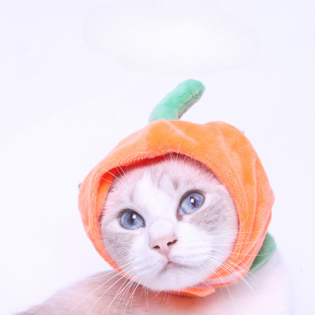 Ozzie - Persimmon Purrfection Cat Costume Hat