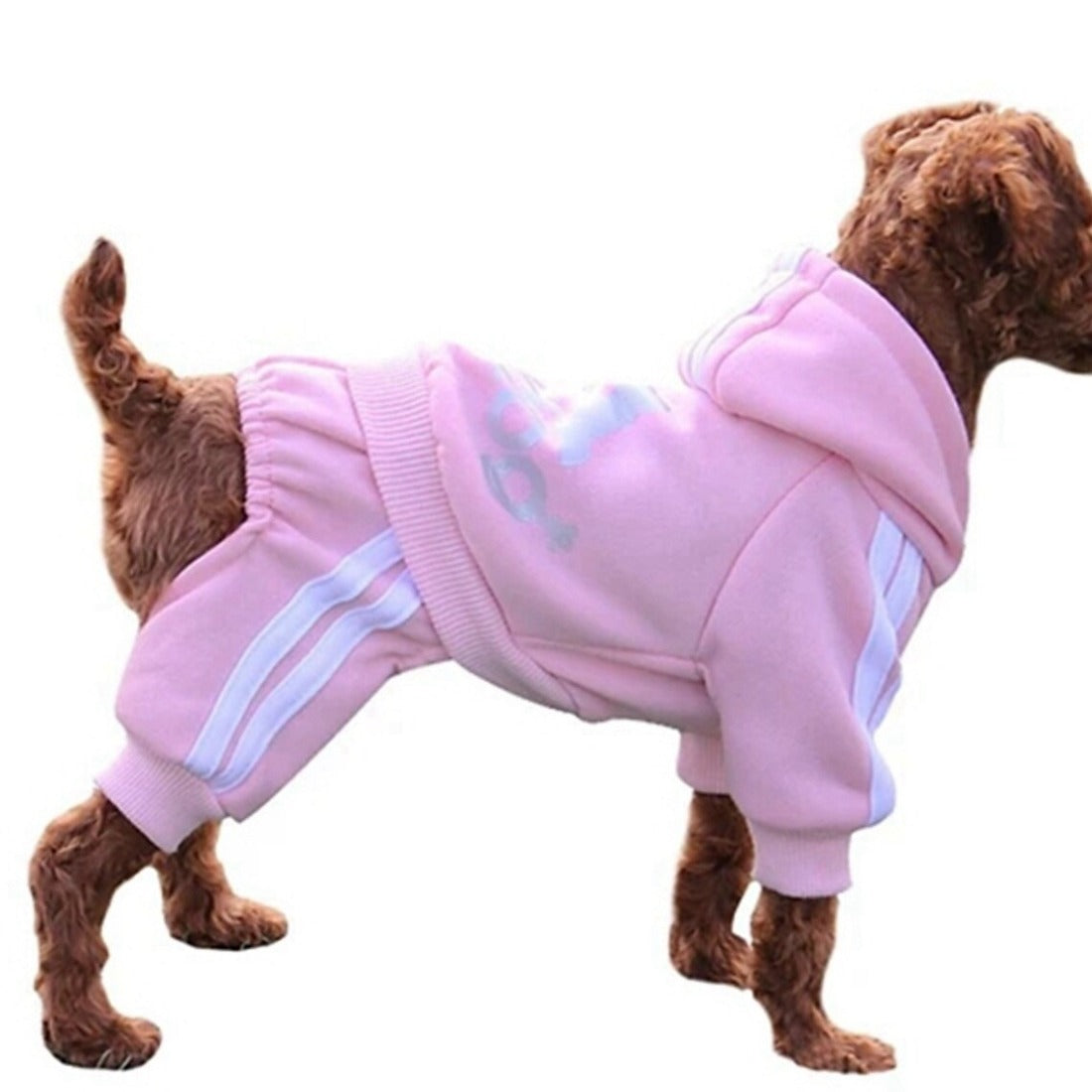 Close-up of Ozzie dog jumpsuit hood and sport stripes detail