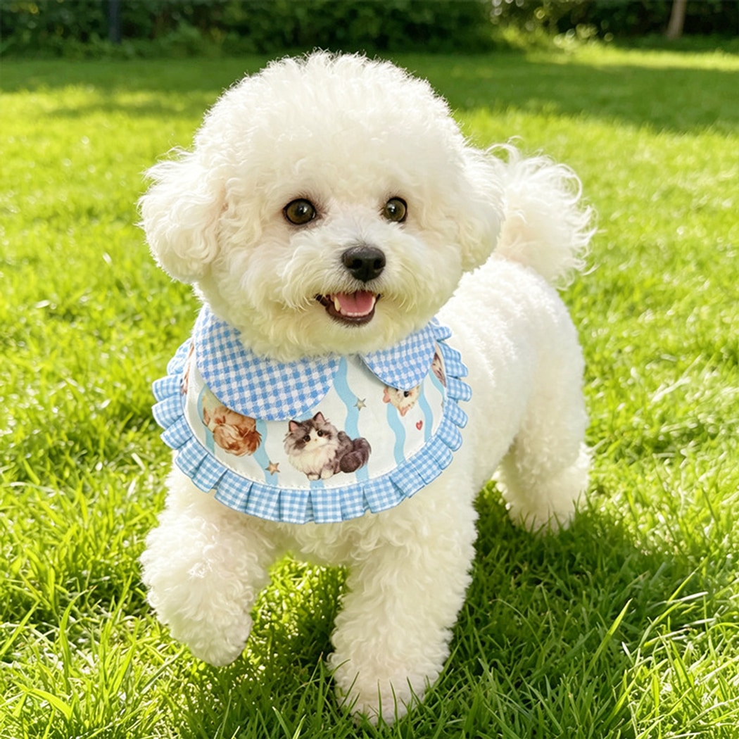 Mokka - Cartoon Style Lace Trim Pet Bib
