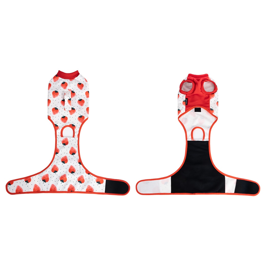 Ozzie - Trim Detail Dog Aftercare Recovery Vest