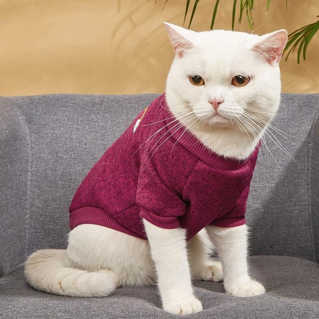 Ozzie - Rainbow Label Round Neck Dog Sweater