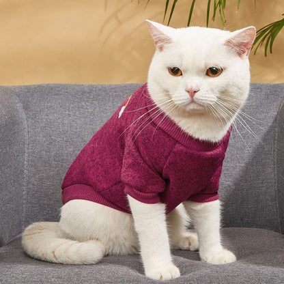 Ozzie - Rainbow Label Round Neck Dog Sweater