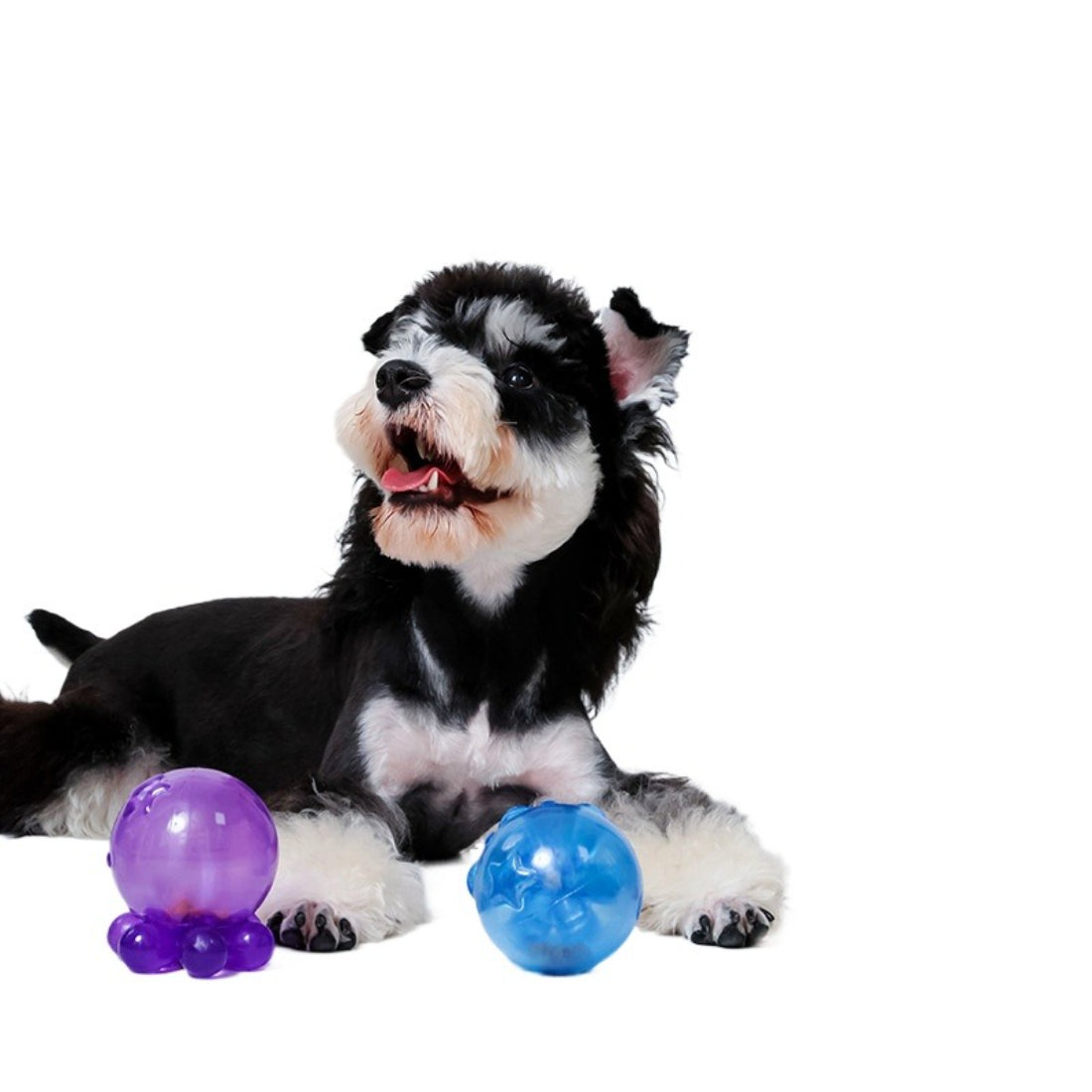 Petkin Interactive Treat Ball dog toy in bright orange and blue colors