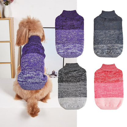 Ozzie - Gradient Turtleneck Pet Knit Sweater